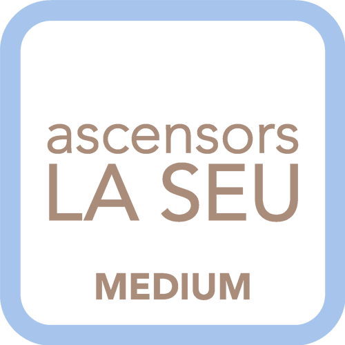 Tot aparell elevador requereix un contracte de manteniment per a complir amb les normatives vigents. Disposem d'una àmplia experiència en manteniments d'ascensors de qualsevol marca i model del mercat.